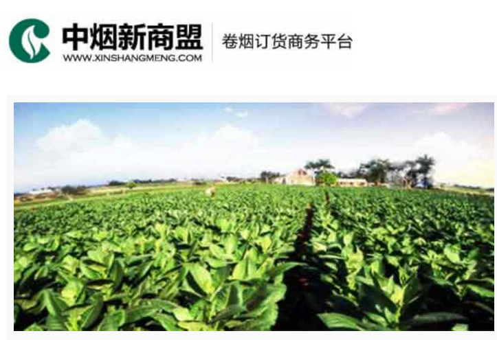 中烟新商盟卷烟订货商务平台-9001cc 以诚为本 9001cc